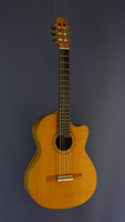 JAlbert & M&uuml;ller CL4 Meistergitarre Zeder, Palisander, Cutaway, AER-Pickup, gespielt