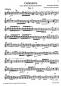 Preview: Anonymus: Galanterie for Baroque Mandolin solo, sheet music sample