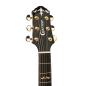 Preview: Crafter STG G20 CE edition Acoustic Guitar with pickup, solid spruce top, Auditorium shape, cutaway