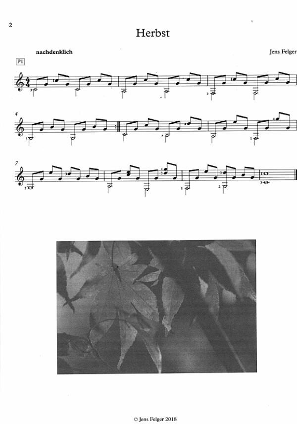 Felger, Jens: Short Stories 1, 11 Stücke, ein Sammelsurium aus Folk, Rock und Pop für Gitarre solo, Noten Beispiel
